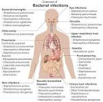 File:<b>Bacterial infections</b> and