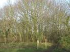 This track is used by off-road bikes on part of a circular course around - via Daymix