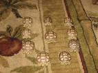 Baby Sulcata's
