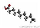 Capric acid molecule