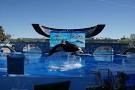 Busch Entertainment changes name to SeaWorld Parks &amp; Entertainment ...