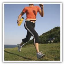  The Myth of the Fat Burning Zone