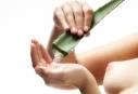 Natural Treatments for Common Illnesses » Blog Archive » Aloe Vera ...