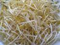 Bean Sprouts - Adding Crunch to the Savory Pho - Vietnamese Pho ...