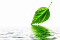 water reflection