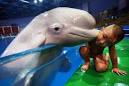 interspecies love - baby beluga