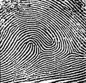 fingerprint_patterns
