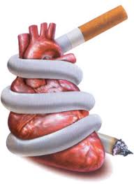 التدخين مضر بالصحة ... Images?q=tbn:ANd9GcSi43R4Gh3DiY4xGVErrYepAizEmAyYaJYMM_AGy4aYh2Lf1DwOJw