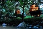 Borneo Safari - Best Borneo Lodges to visit on your Borneo Holiday ...