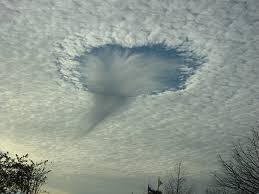 http://t3.gstatic.com/images?q=tbn:ANd9GcSiSudssn04_FQZdK-Dcuu8SA4xjBHahocpC5ujHFB11BSXl7V2Db87Re99