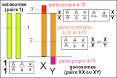 Terminale S - Spécialité SVT - Génétique