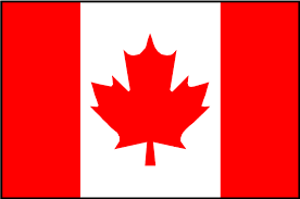 external image images?q=tbn:ANd9GcSieBx9gAOFvALndf2IFlTGSDd25UnJujArTI_zXt_J44x2mNUqWQ