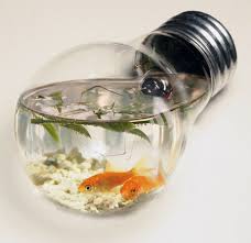 images?q=tbn:ANd9GcSiiN8KofPZRwnXzbCh9LGAQyejh9ESYU6VBrqUzxLVXJCEnXDy