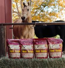 Image result for hoof guard