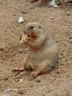 Groundhog's Day | Between the Synapse