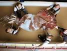A Close Look at the Colossal Squid