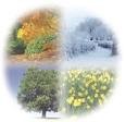 Seasons of Growth
