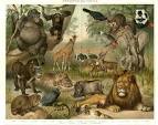 Flora and Fauna Of Ethiopia