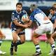 Top 14 - Montpellier - Castres (28-19) : La déroute à Toulon oubliée, le MHR a ... - Rugbyrama.fr 1 - MontpelYeah Magazine