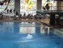 Hu Jia Diver