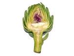 Artichoke Etiquette - Sam Cooks | Sam Cooks