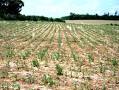TDA - Agricultural Resources Conservation Fund