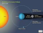 June 26, Partial Lunar Eclipse | Adequate Bird