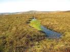 View from the other side: NT3644 : Fence and bog pool, Pringle's Green - via Daymix