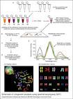 <b>cytogenetic analysis</b> using