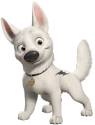 Bolt