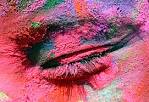 Holi - the Festival of Colors - The Big Picture - Boston.