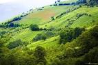 RED SOIL GREEN HILL - Landscape & Rural Photos - KAVEH PHOTOGRAPHY