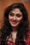 Fadnis in Red Actress,