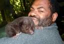 PICTURES: Giant Rat,