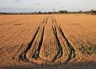 TA1626 : Crop Circles and - via Daymix