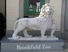 Andrew Skolnick photos from Brookfield Zoo