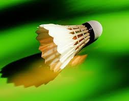 Image result for Verwood Badminton Club
