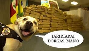 RAIRARIARAI, Dorgas
