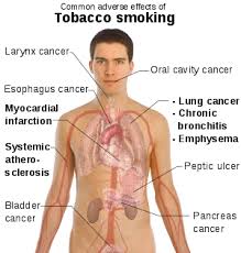 Effects Of Quitting Smoking