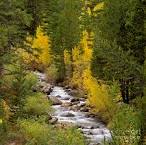 Bishop Creek - Eastern Sierra Photograph by Craig Lovell - Bishop ...