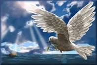 external image images?q=tbn:ANd9GcSmvfma6UMuMFIkSDpLCcktF2ue9R8vOt5xq1jlA8SDZnzmreCxGLOu-ekn