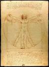 The Vitruvian Man