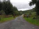 SN8587 : Forestry track up Llechwedd y Glyn. 3 km from Geufron, Powys, - via Daymix