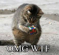 images?q=tbn:ANd9GcSnOfN7Yhi8vYoK8nzbZ8_ow7xLm0CFNFmaEOnuU7lkfph--kra