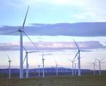 The end of clean energy subsidies? | TPE Post