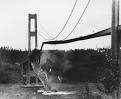 Every Day Is Special: November 7, 2011 - Suspension Bridge Collapses