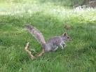 would take peanuts out of - via Daymix