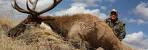 The Taxidermy Sh
op » Blog Arc ...