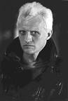 hauer