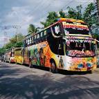 funny buses
